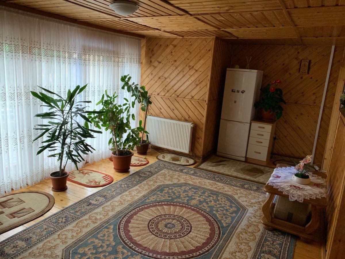 Rustic Apartament Moisei Eksteriør billede